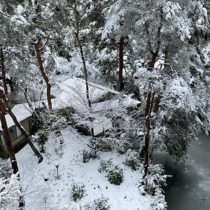 snow view.jpeg