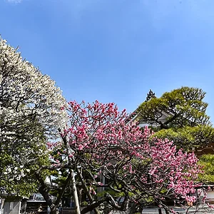 ikegami-1.jpg