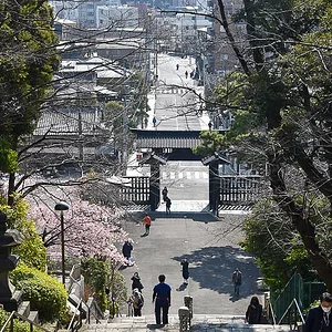 ikegami-4.jpg