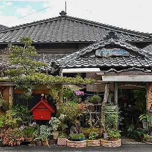 matsusaka.jpg