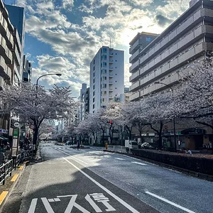 sakura-commute-27032022-03.jpg