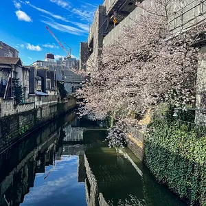 sakura-commute-27032022-04.jpg