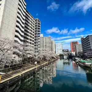 sakura-commute-27032022-05.jpg