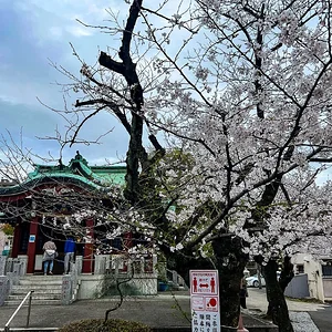 sakura-commute-27032022-08.jpg