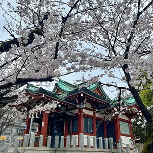 sakura-commute-27032022-10.jpg