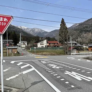 stop-signal.jpg