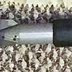jt.jpg
