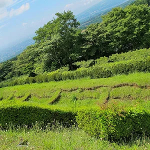 Yamanaka Castle Ruins