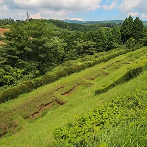 Yamanaka Castle Ruins