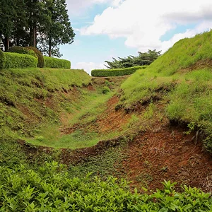 Yamanaka Castle Ruins