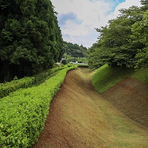 Yamanaka Castle Ruins