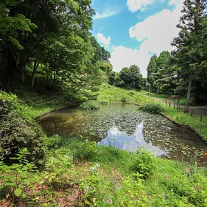 Yamanaka Castle Ruins