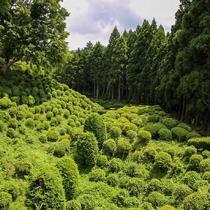 Yamanaka Castle Ruins