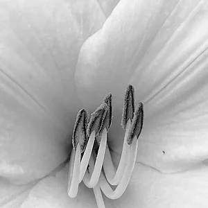 IMG_1670 2.jpeg