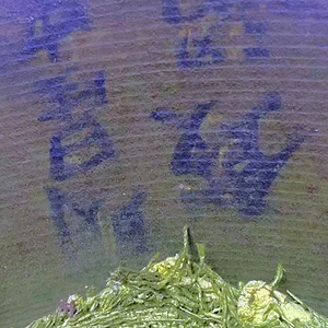 h1.jpg