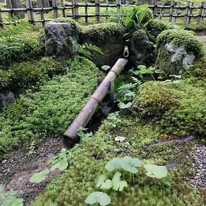 DSCF1812.JPG