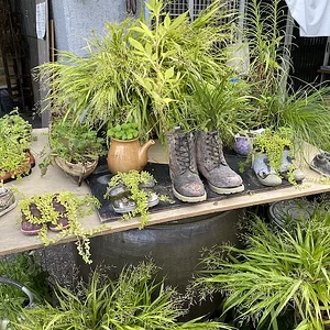 shoe display.jpeg