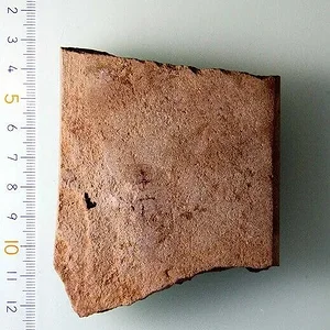 oldest-kanji.jpg