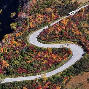 tateyama-autumn-foliage.jpg