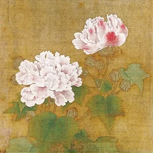 red-and-white-cotton-roses.jpg