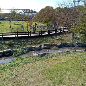 IMG_20221028_140118.jpg