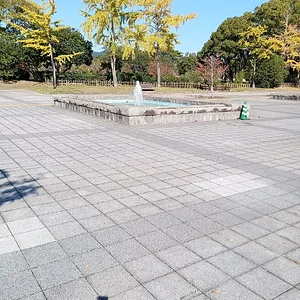 IMG_20221028_133523.jpg