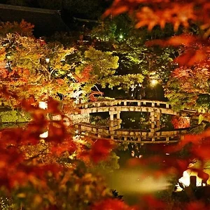 eikando-zenrinji-kyoto.jpg