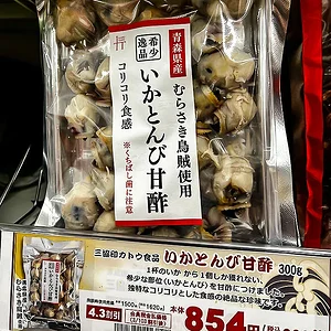 ika-tonbi.jpg