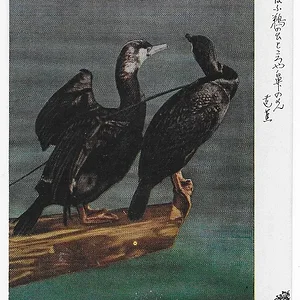 Boids.jpg