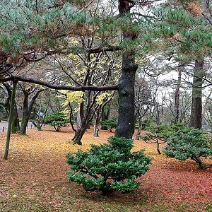 Kenrokuen