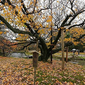 Kenrokuen