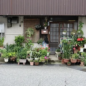 shop.JPG