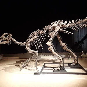 mukawaryu-dinosaur.jpg