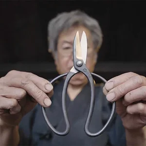 bonsai-scissors.jpg