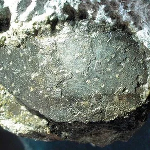 fossilised-dinosaur-eggs-kyushu.jpg