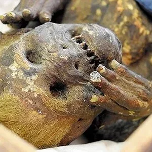 mermaid-mummy.jpg