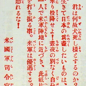 t3.jpg