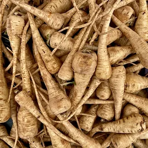parsnips?.jpeg