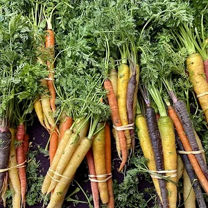carrots bunched.jpeg
