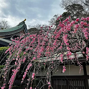 enoshima01.jpg