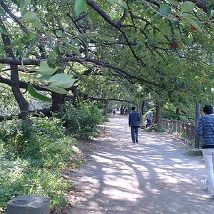 Tokyo - Yotsuya