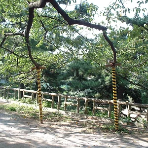 Tokyo - Yotsuya