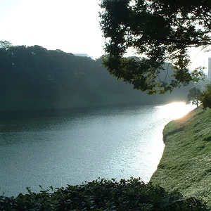 Tokyo - Sakurada-bori Moat of the Imperial Palace