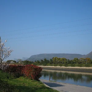 Sakura --- Spring in 2007