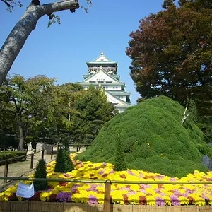 Osaka castle