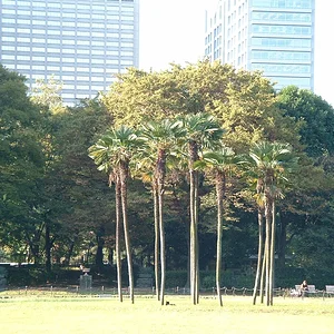 Tokyo - Hibiya Park