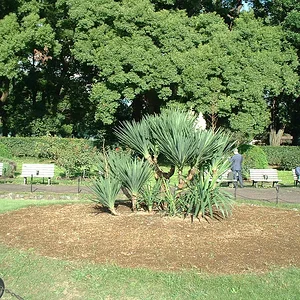 Tokyo - Hibiya Park