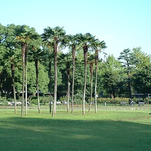 Tokyo - Hibiya Park
