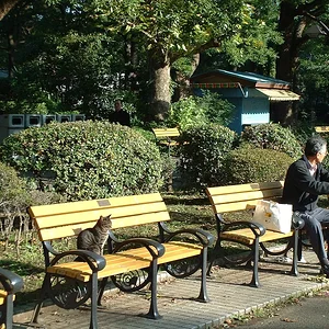 Tokyo - Hibiya Park