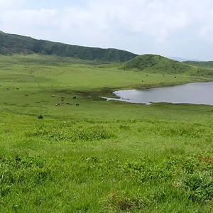 Aso Kusa-senri, Kumamoto